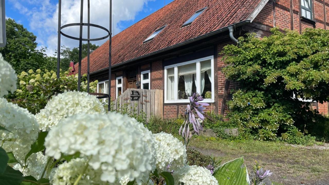 Hof Dueshop Apartment Bad Fallingbostel Bagian luar foto