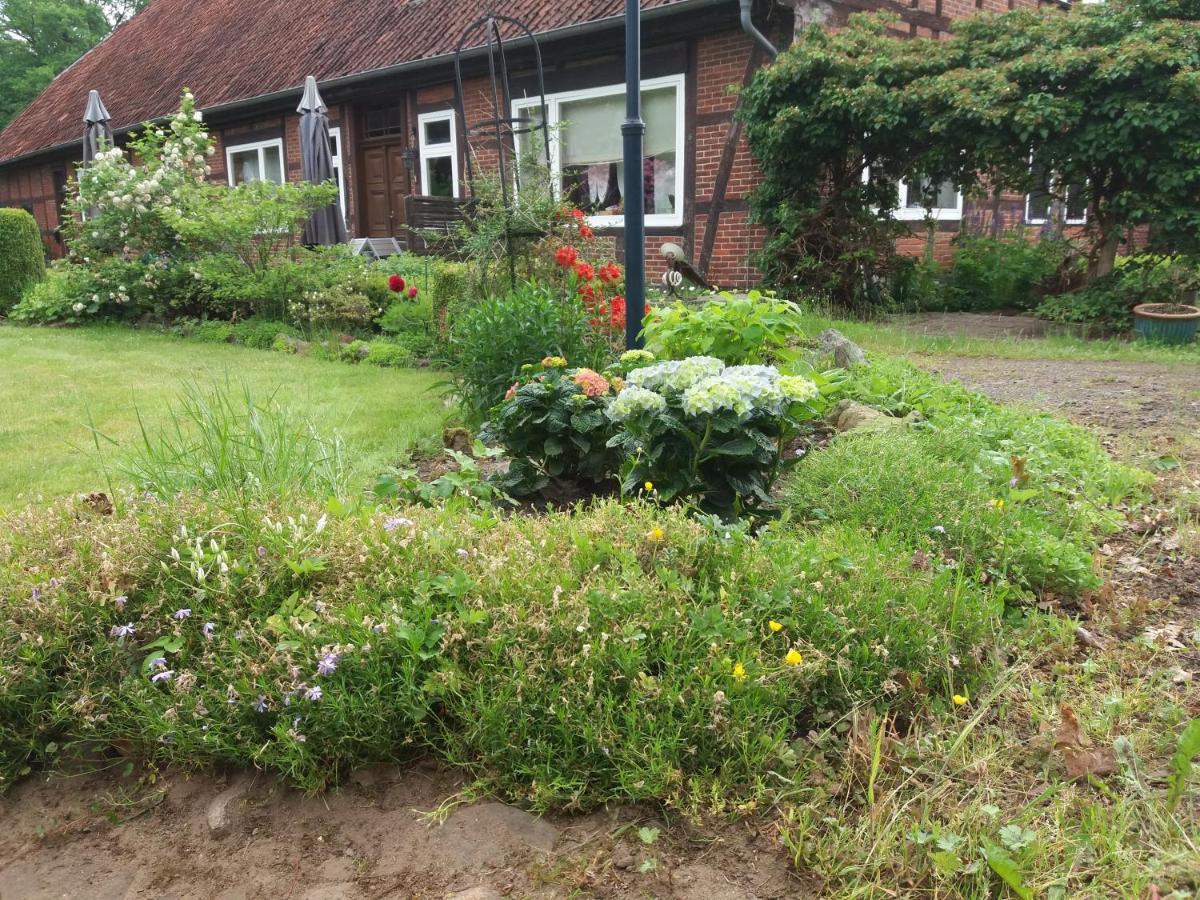 Hof Dueshop Apartment Bad Fallingbostel Bagian luar foto